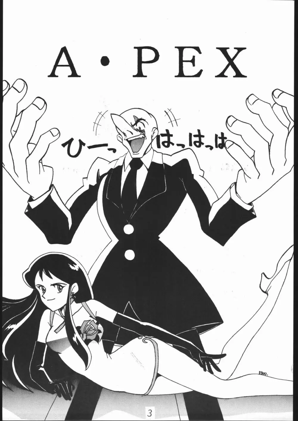 A・PEX Page.2