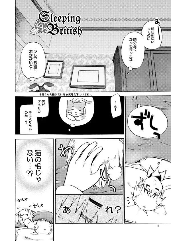 AKUMAN POWERS ヘタリア2 Page.3