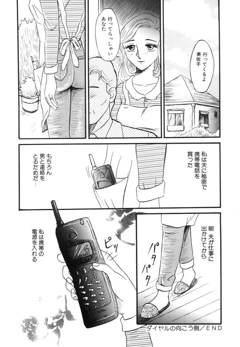 人妻快楽遊戯 Page.164