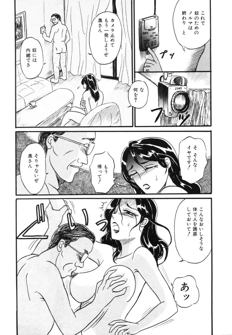 人妻快楽遊戯 Page.29
