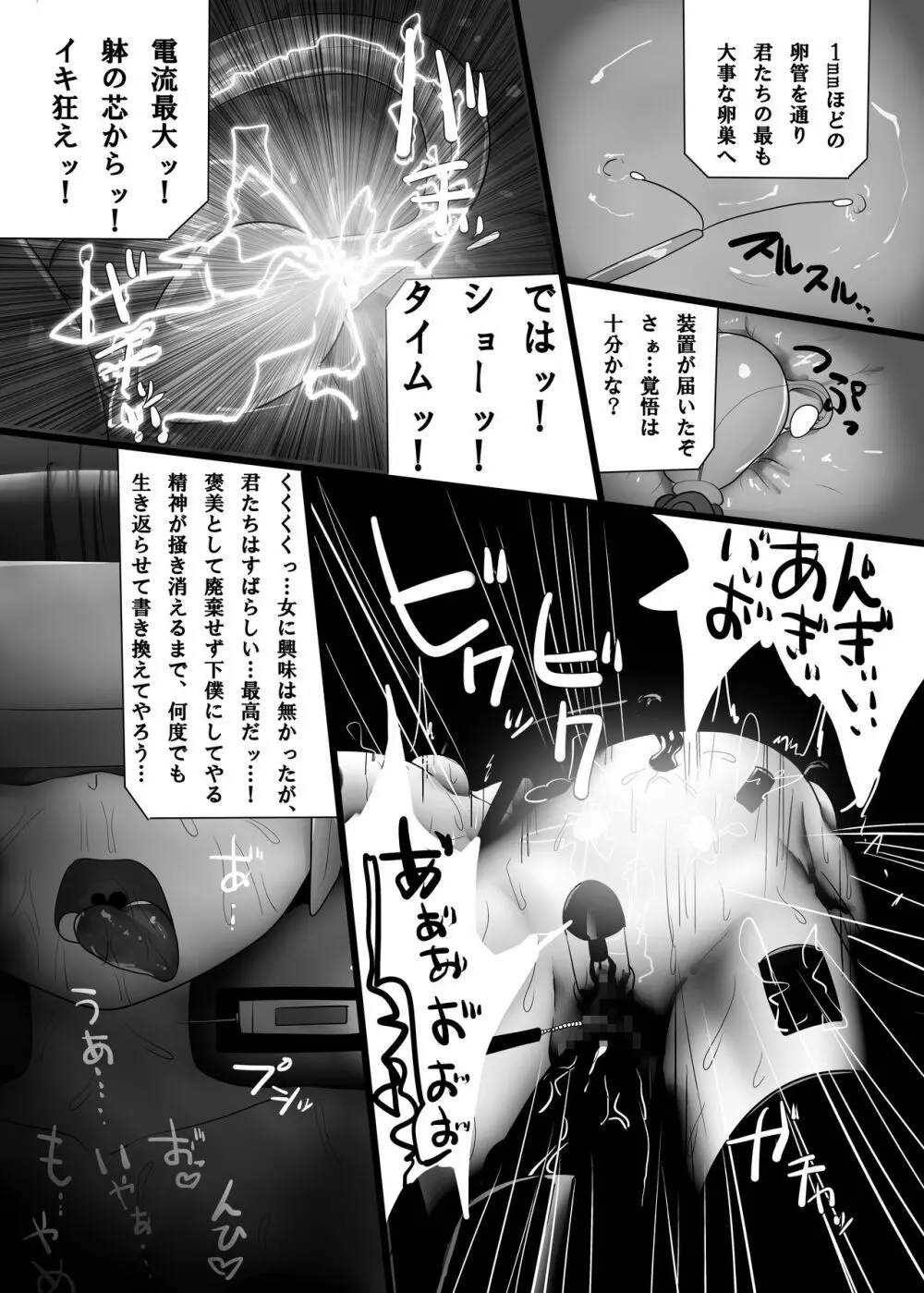 陵辱の調べ Page.15