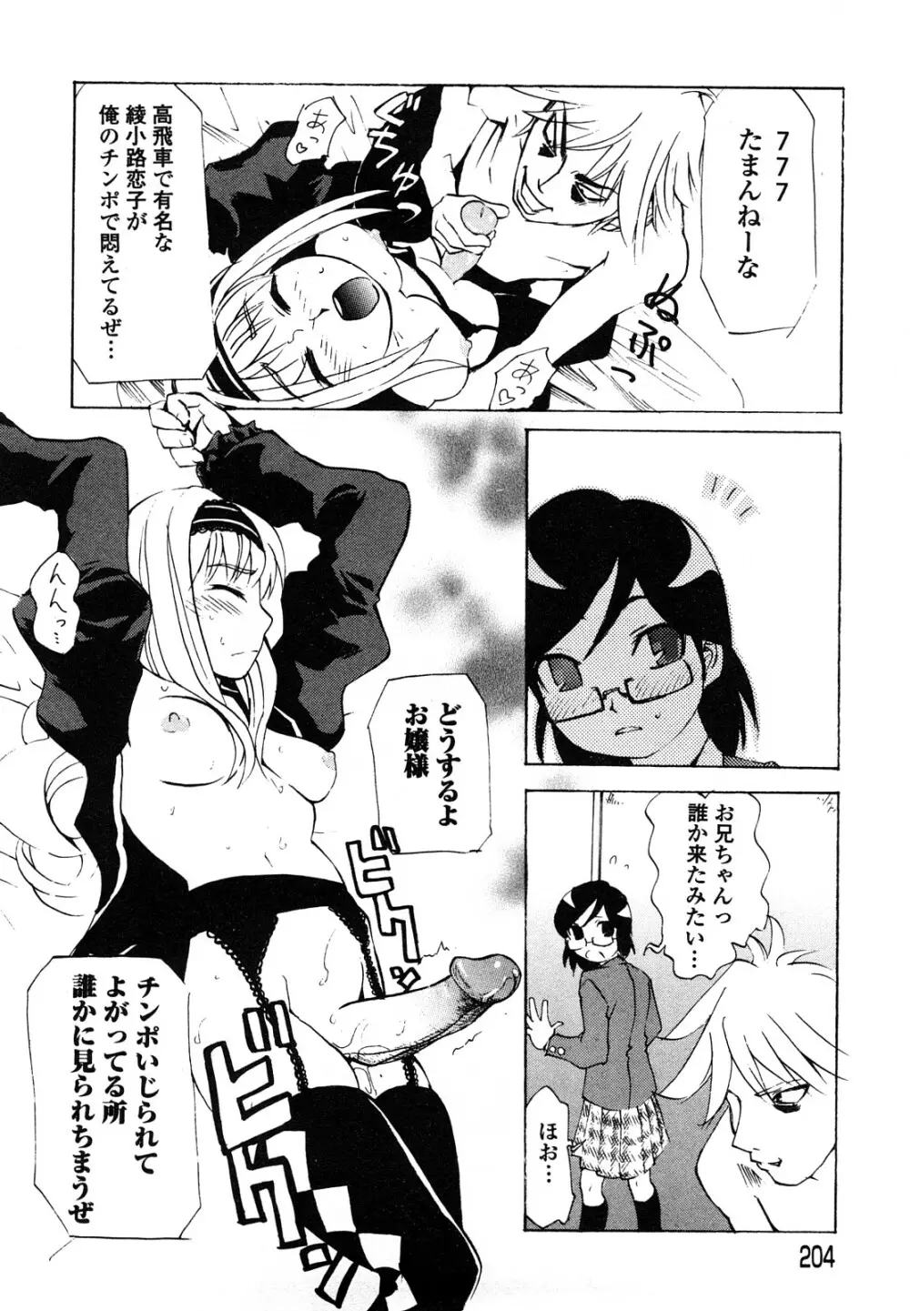 疾風紀はづき 完全版 Page.206