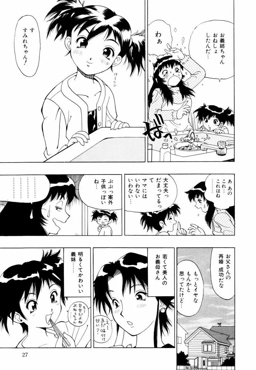 ひまわりのつぼみ Page.28