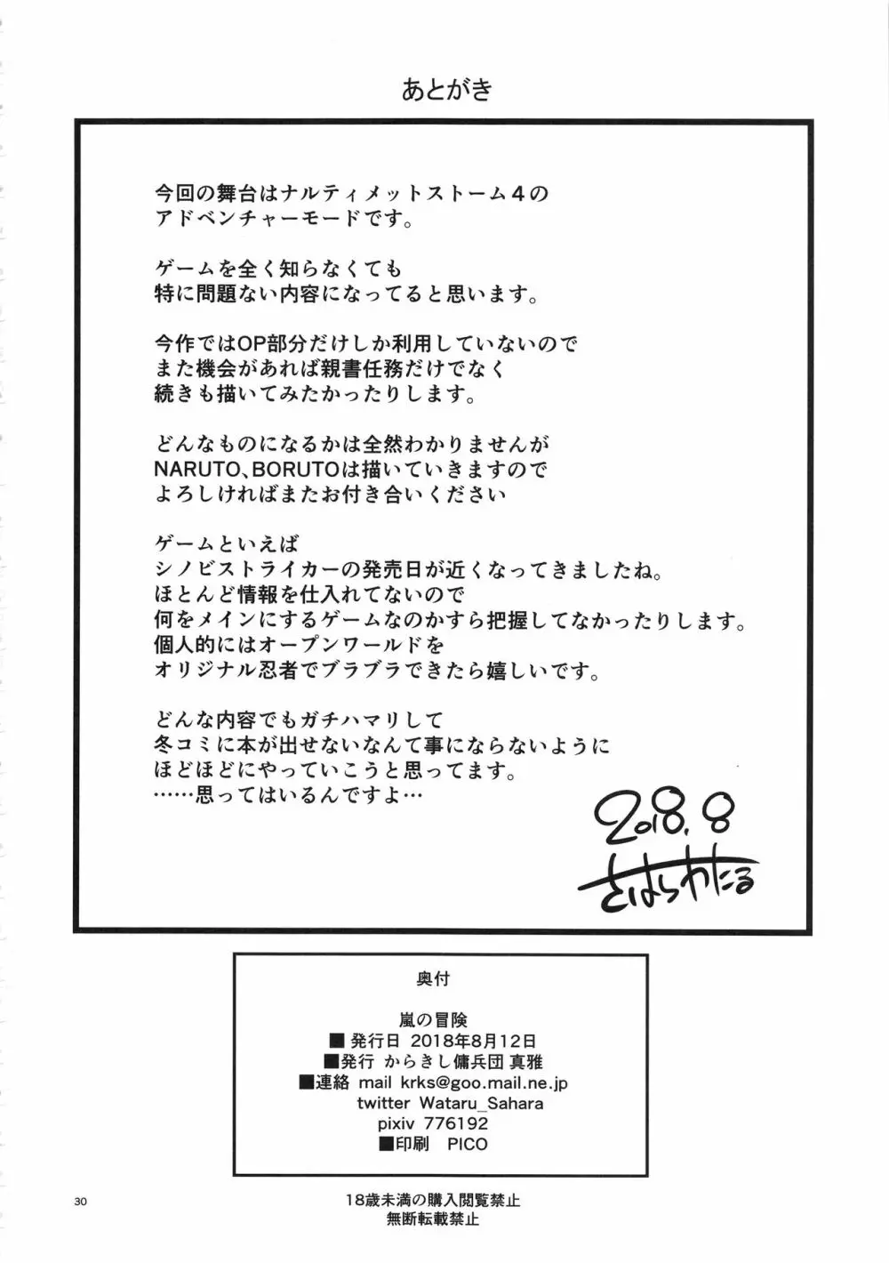 嵐の冒険 Page.29