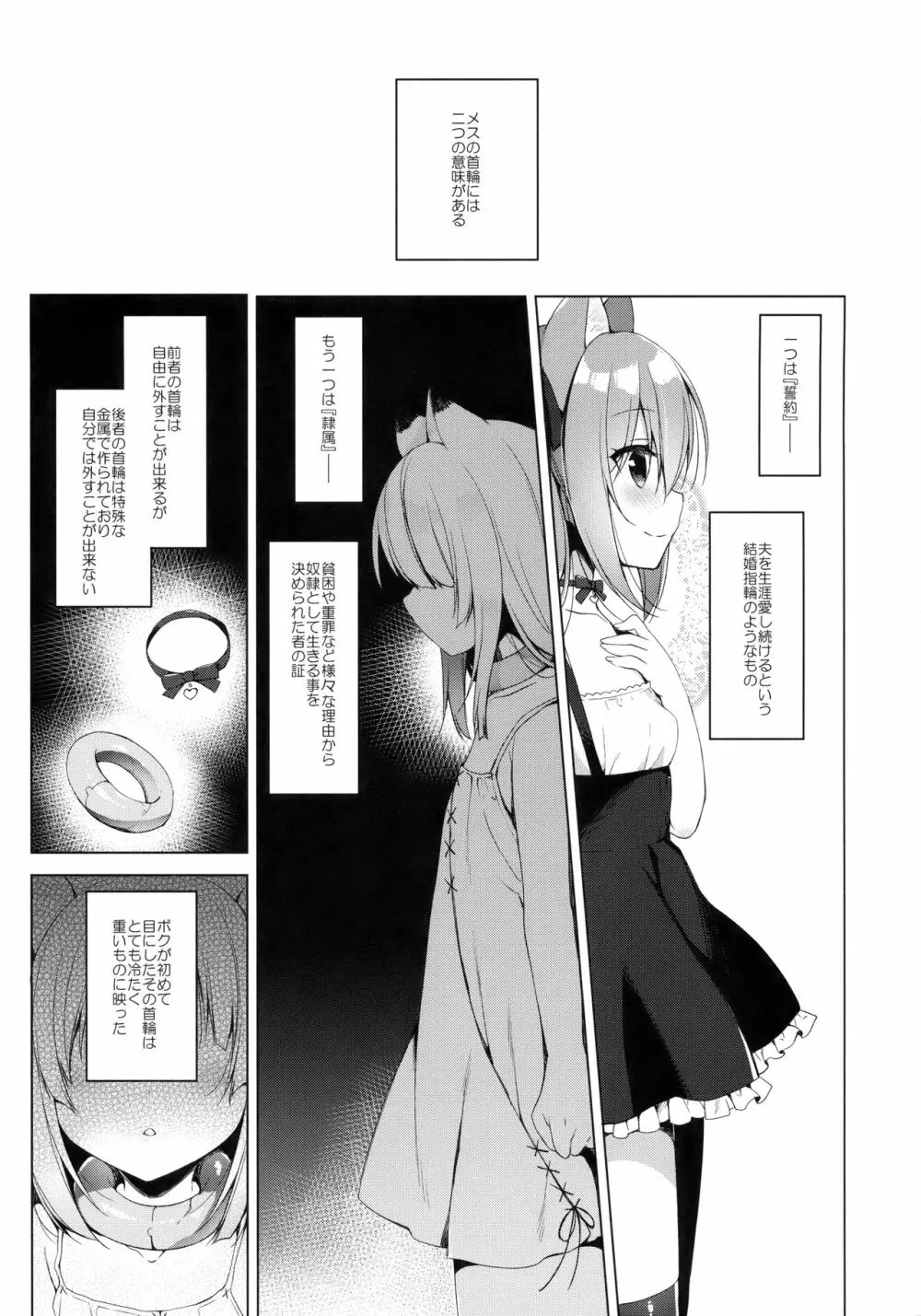 ボクの理想の異世界生活3 Page.5