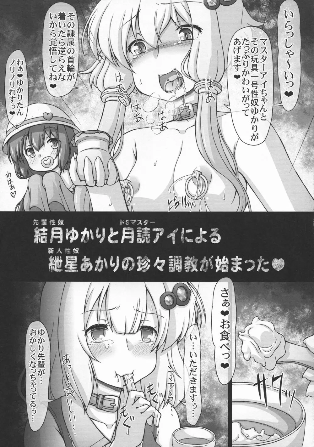 ゆかり珍あかり珍パラダイス Page.13