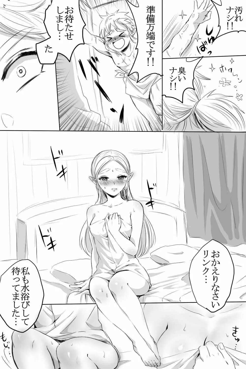 ブレワイのリンゼルがひたすらいちゃいちゃしてすけべなことする漫画 Page.3