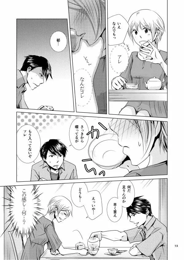 メガプレ Page.11