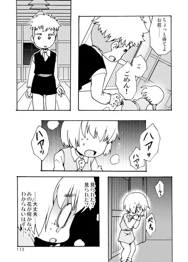 アネモネ Page.113