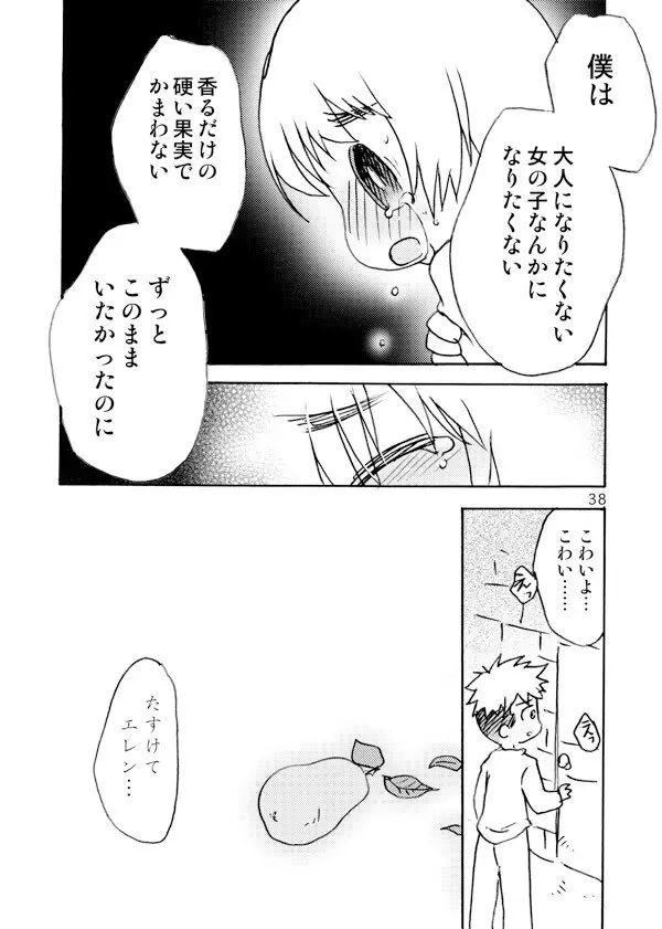 アネモネ Page.38