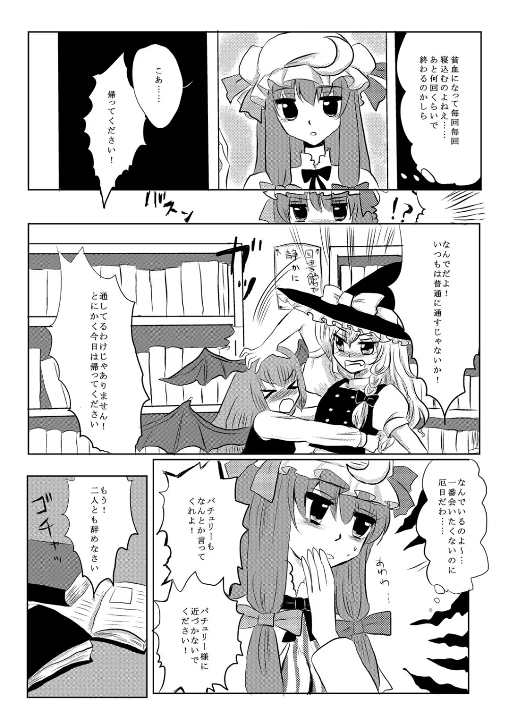 パチュマリ Page.8