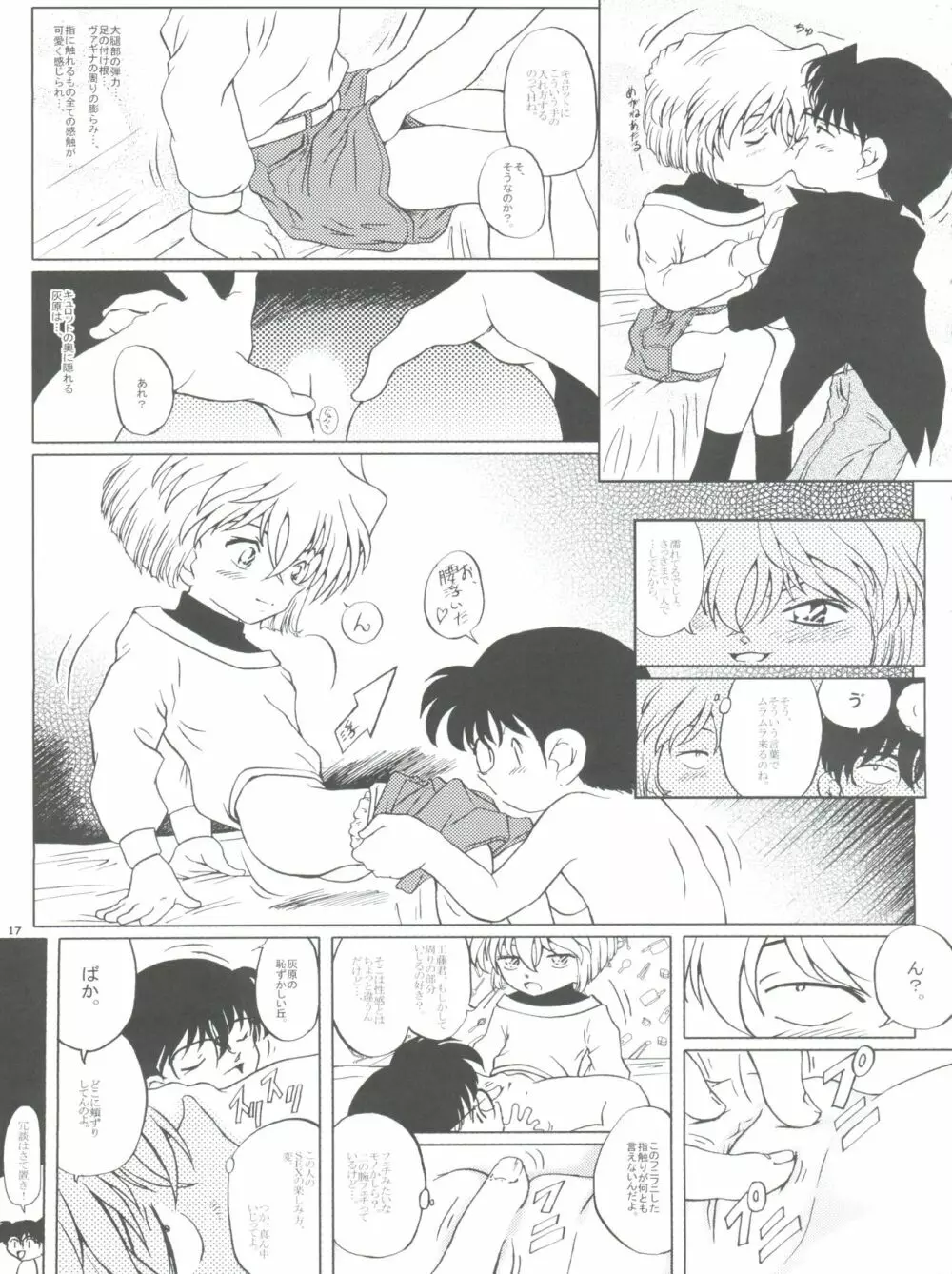 哀の嵐 Page.17