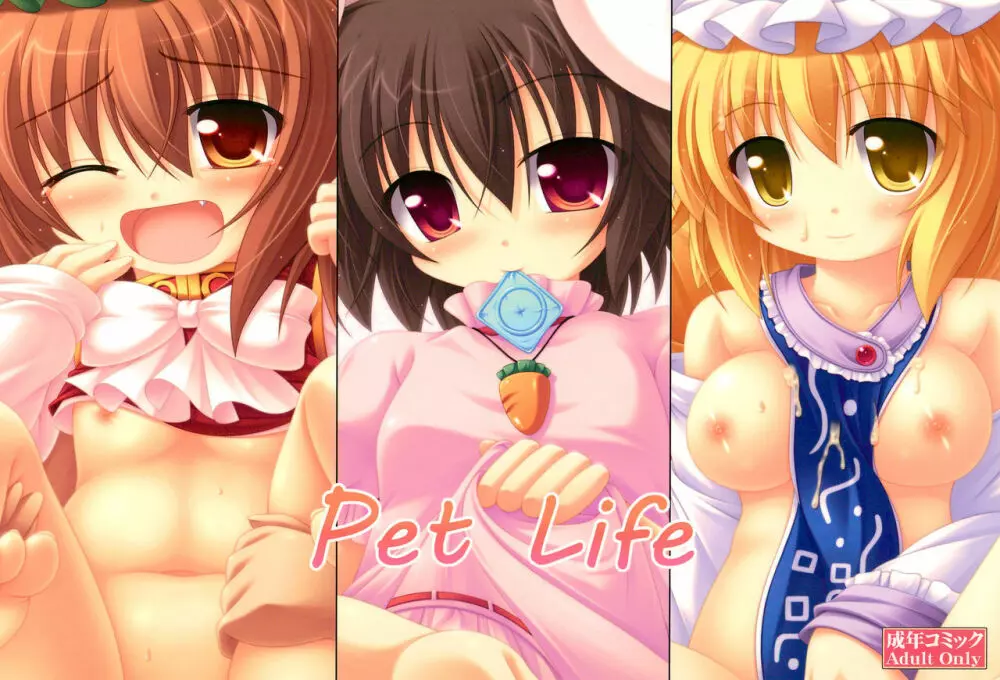 Pet Life Page.1