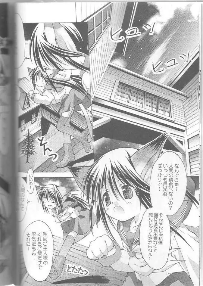 Yokaneko Page.7