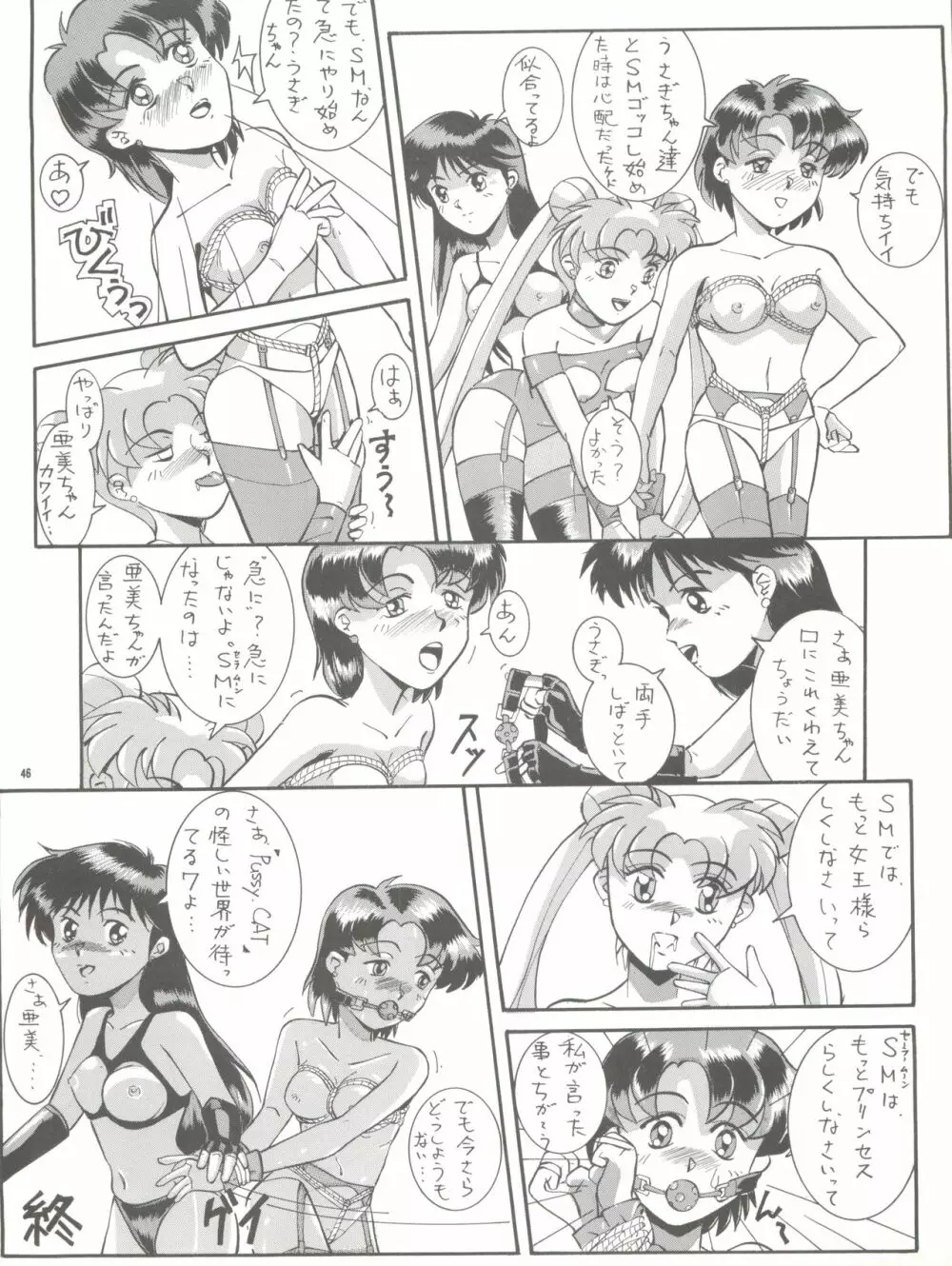 PUSSY-CAT vol.26 セーラームーン3 Page.46