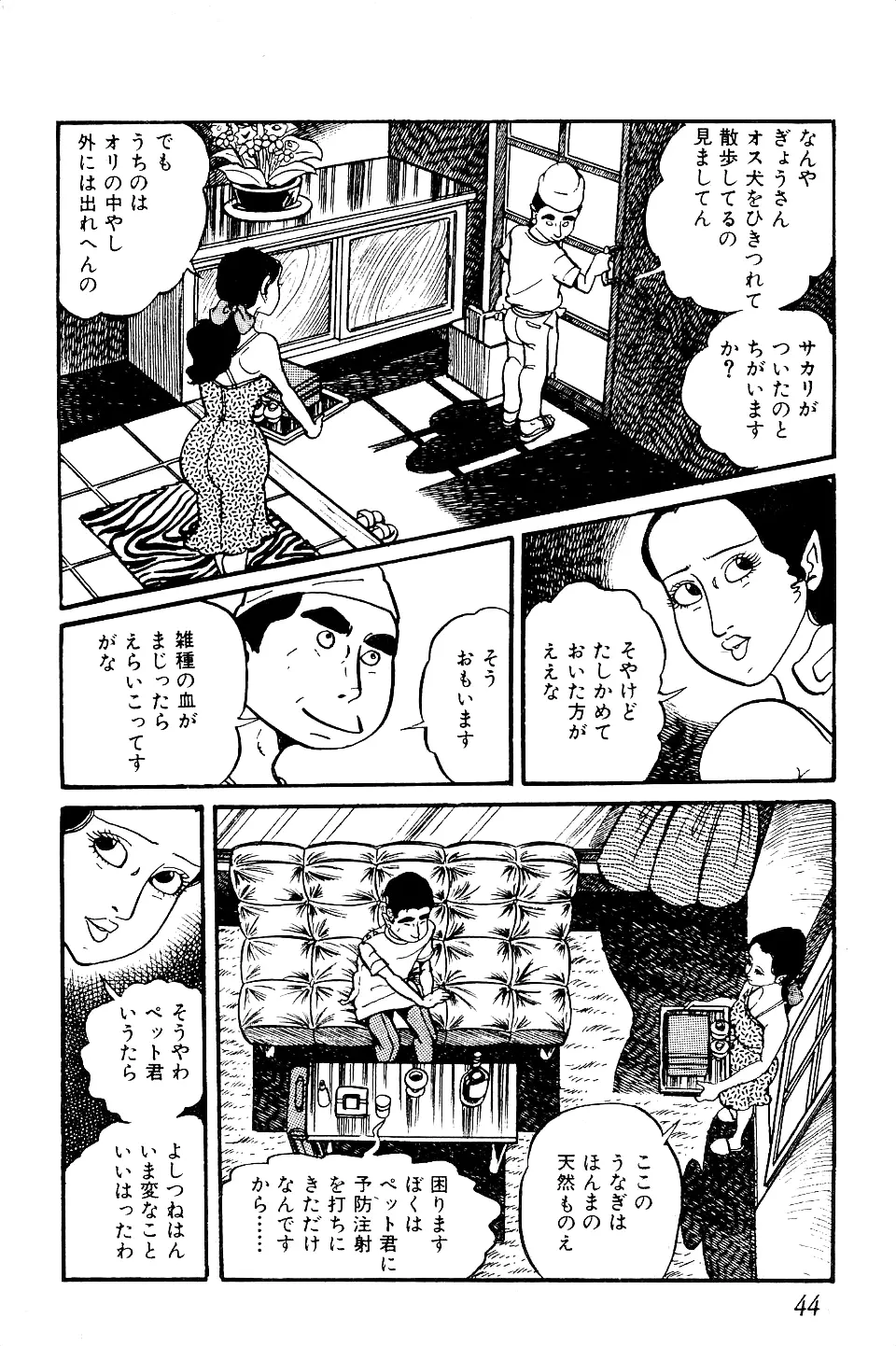 好色 ペット先生 Page.45