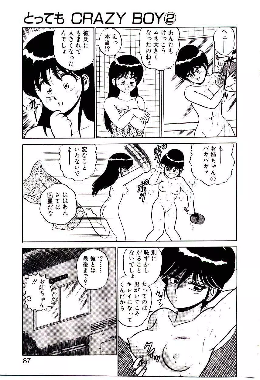 シスターズパニック Page.87