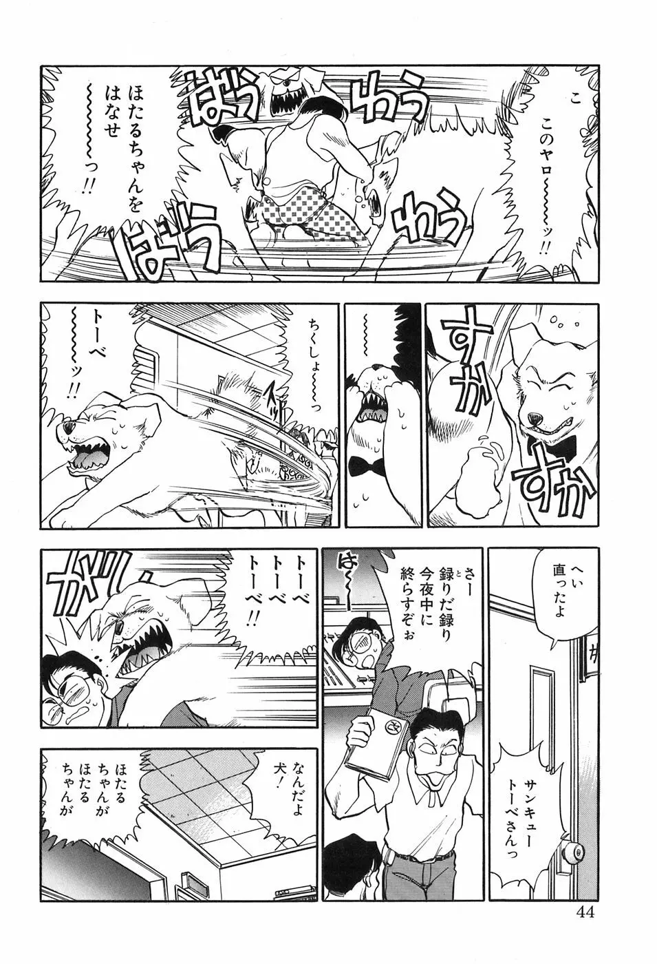 ほたるのきぶん Page.44