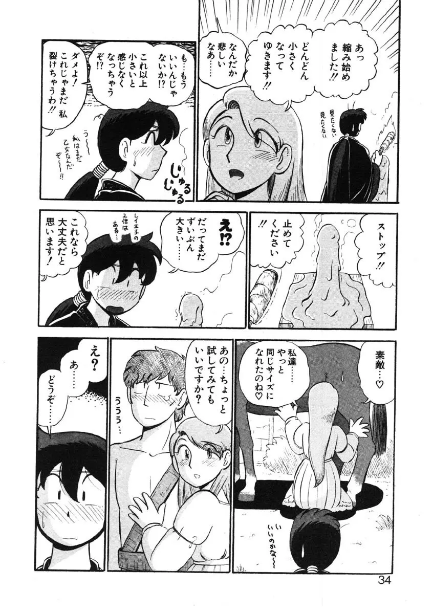 シィナのファブリオ Page.31