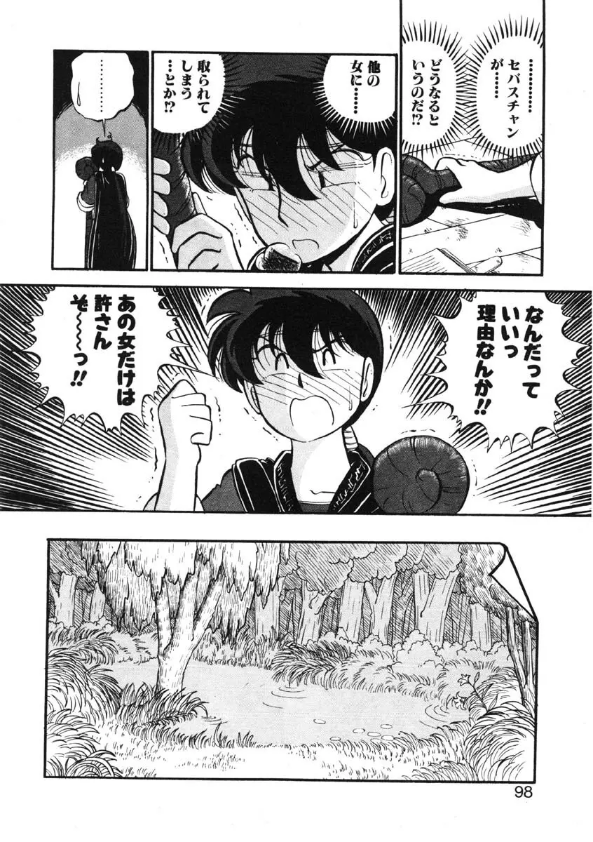 シィナのファブリオ Page.95