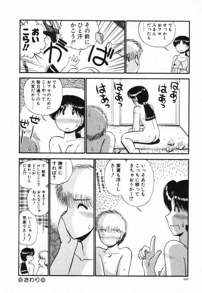 恋愛ぶきっちょ Page.233