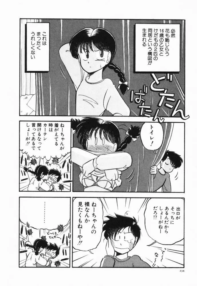 恋愛ぶきっちょ Page.237