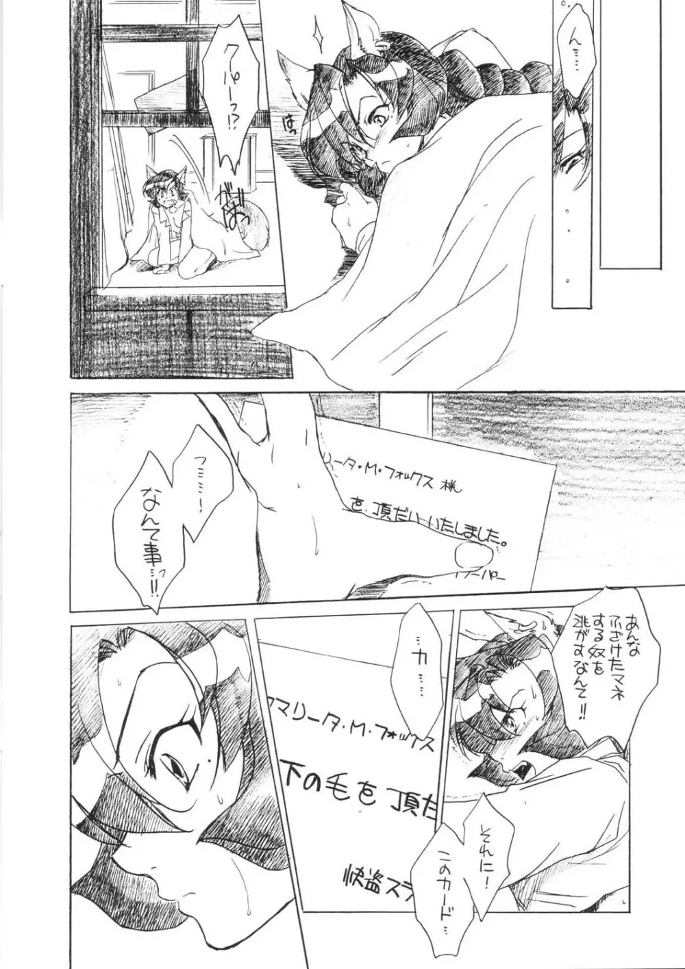 赤いキツネとアライグマ Page.14