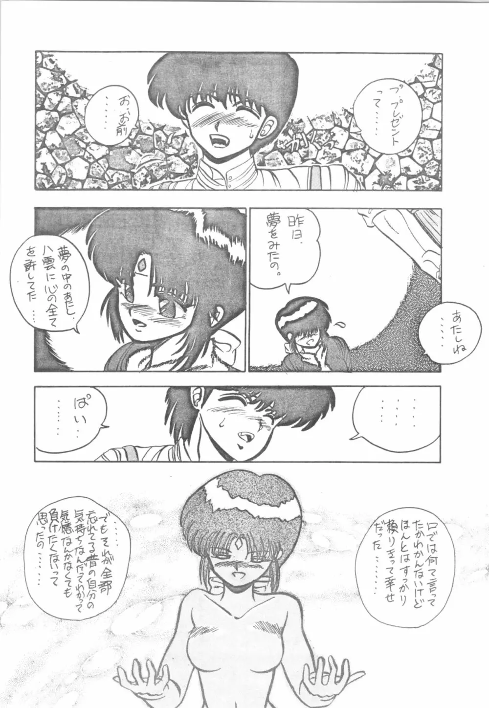 DESIRE テニーレ隊 -新たなる野望- Page.25