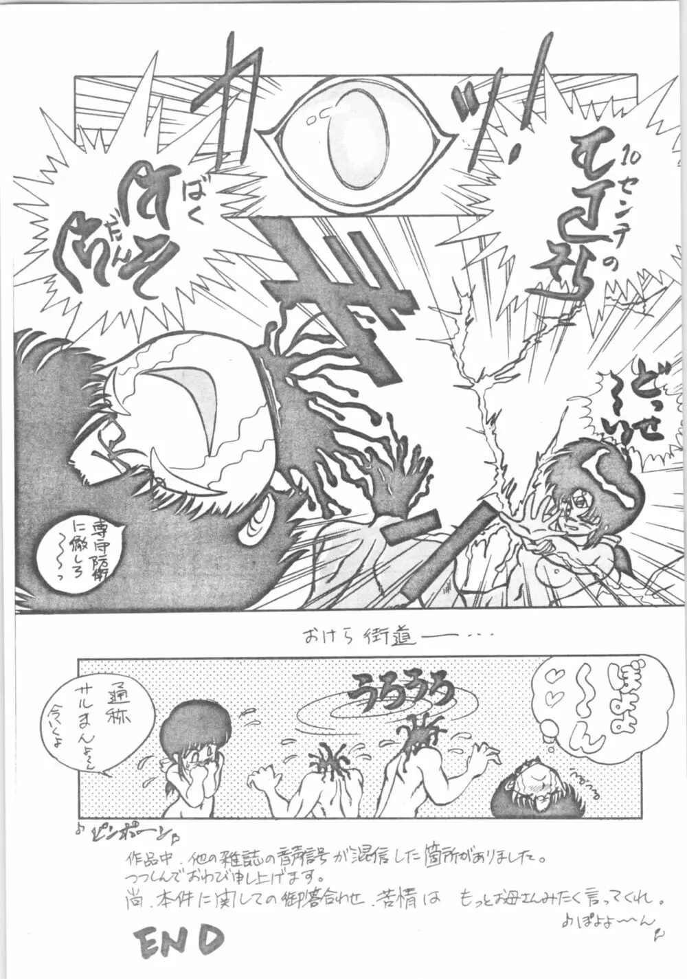 DESIRE テニーレ隊 -新たなる野望- Page.29