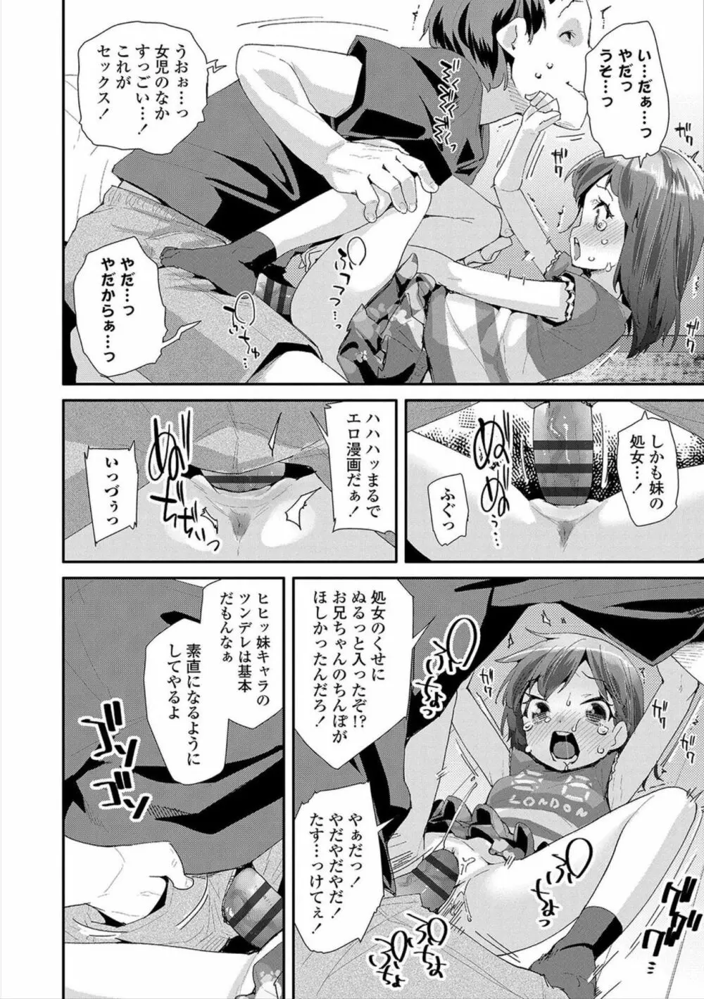 おとなのおもちゃの使い方 Page.110