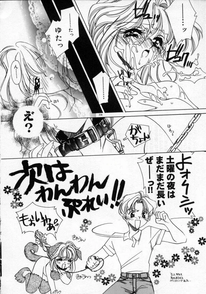 DNA Page.232
