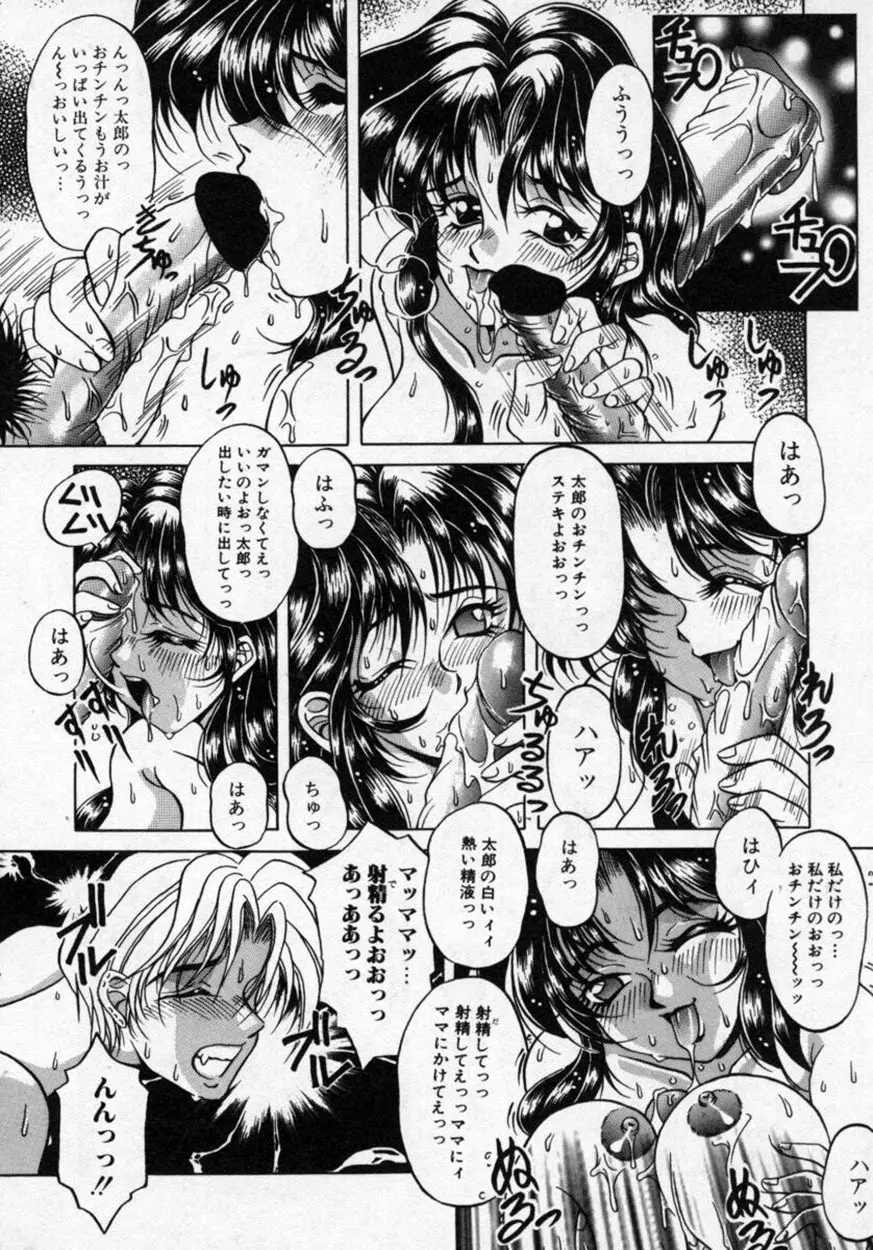 華の影 Page.43