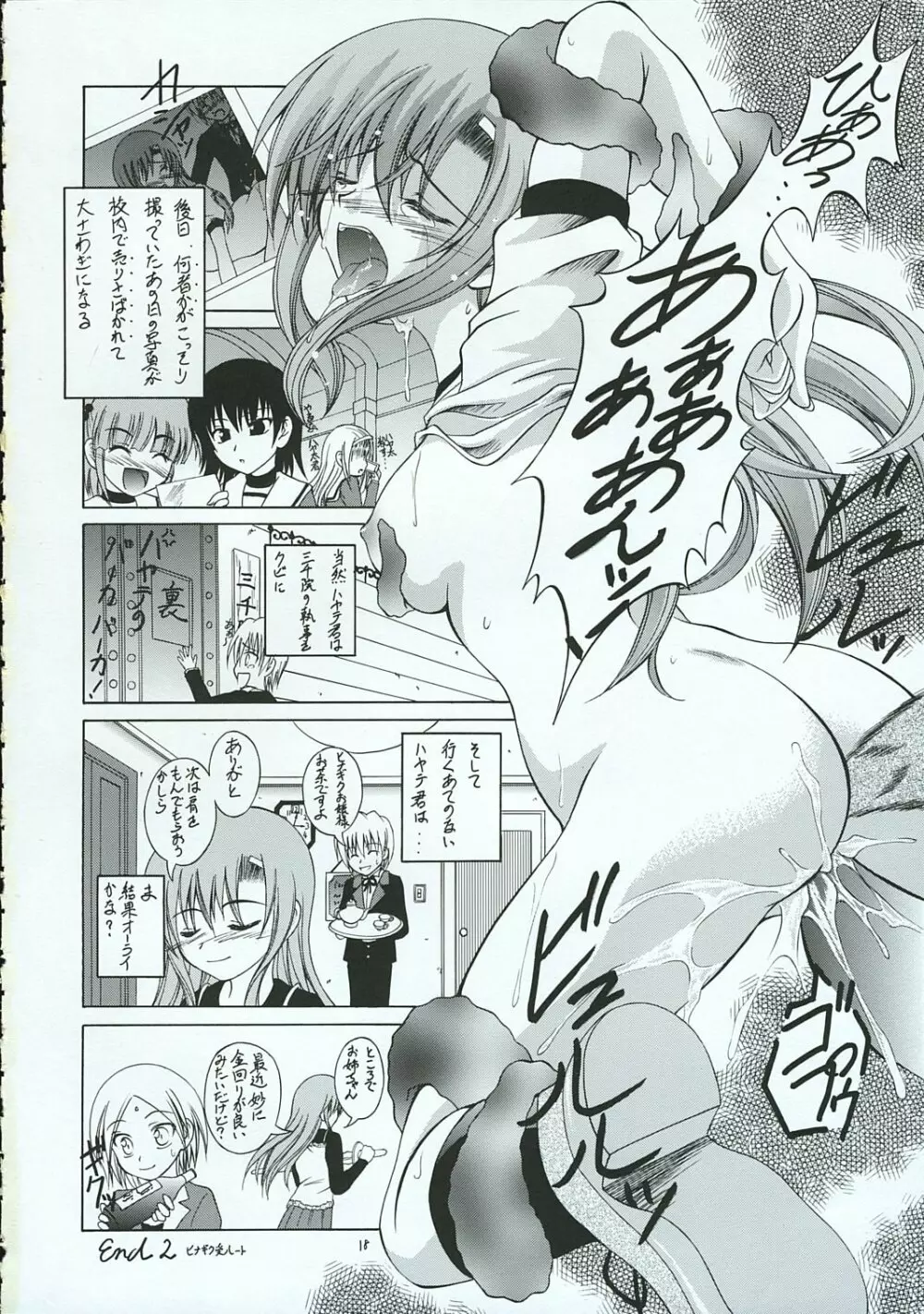 ハヤテのごとし!? 3 書店委託版 Page.17