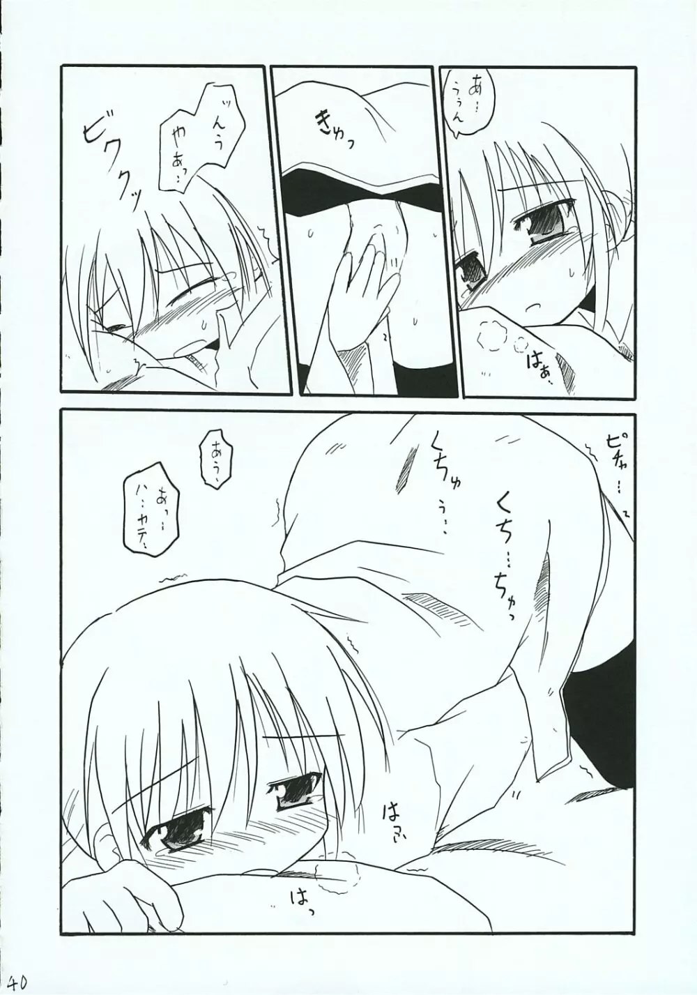 ハヤテのごとし!? 3 書店委託版 Page.39