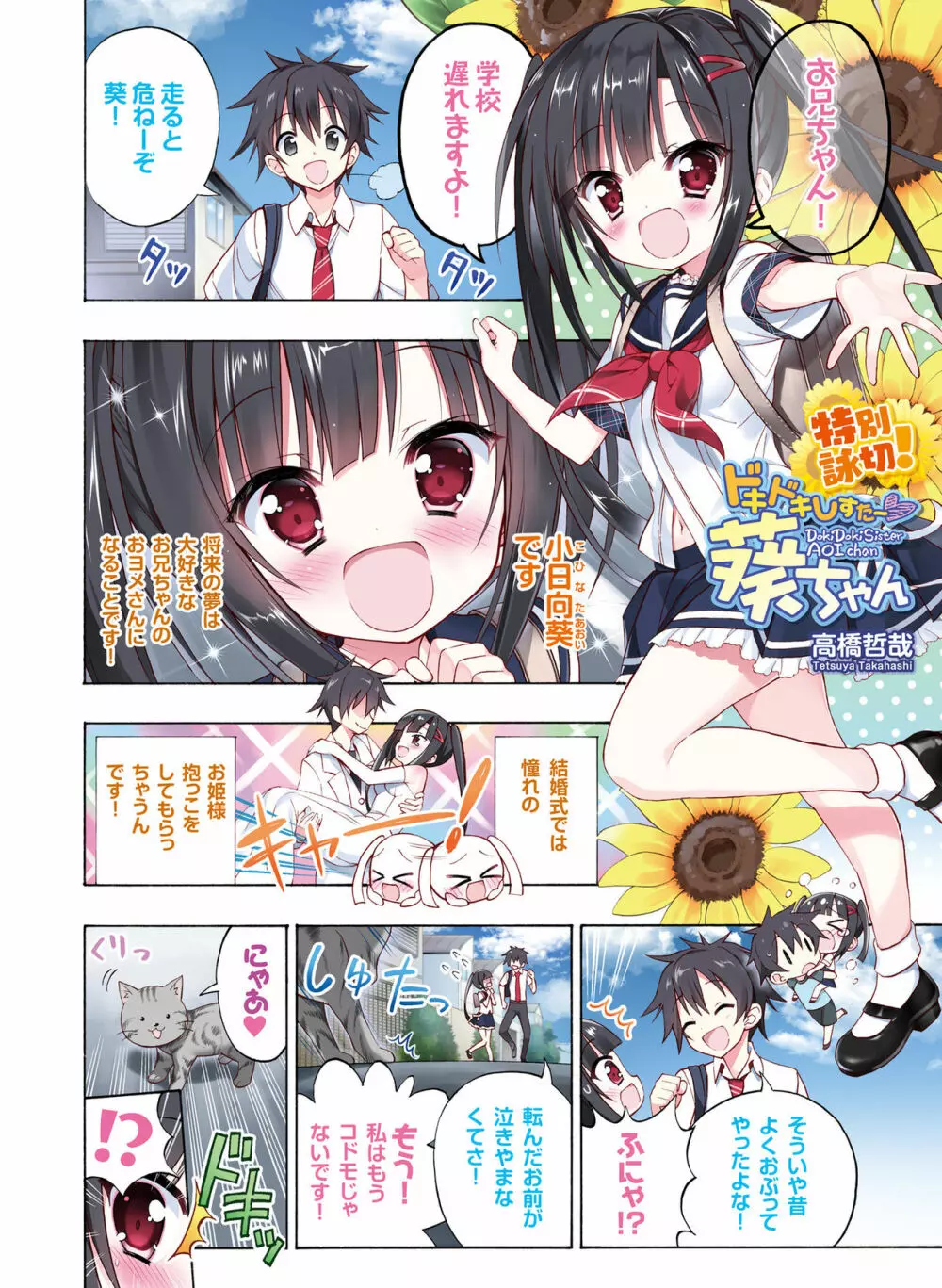 電撃おとなの抱き枕王 Vol.01 Page.48