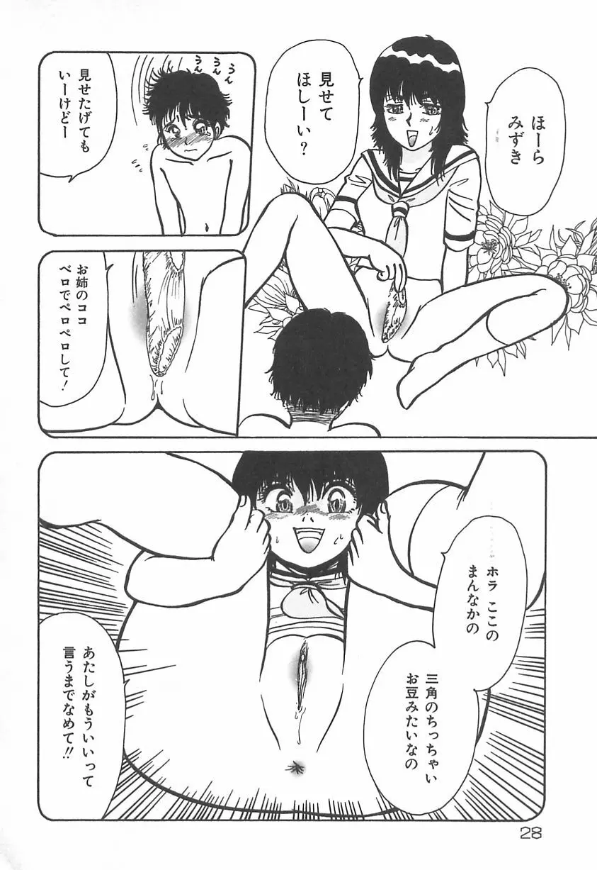 ママにいれたい Page.29