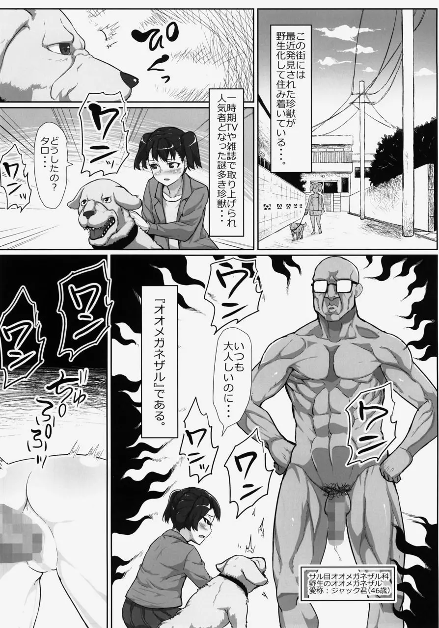 謎多き珍獣オオメガネザルのメスにされた少女たち〜ボランティア 性処理スタッフ〜 Page.3