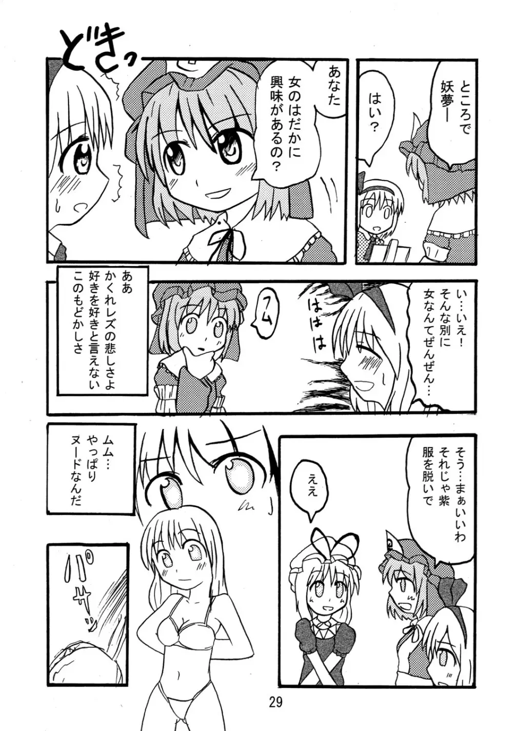 くそみそルナティック Page.28