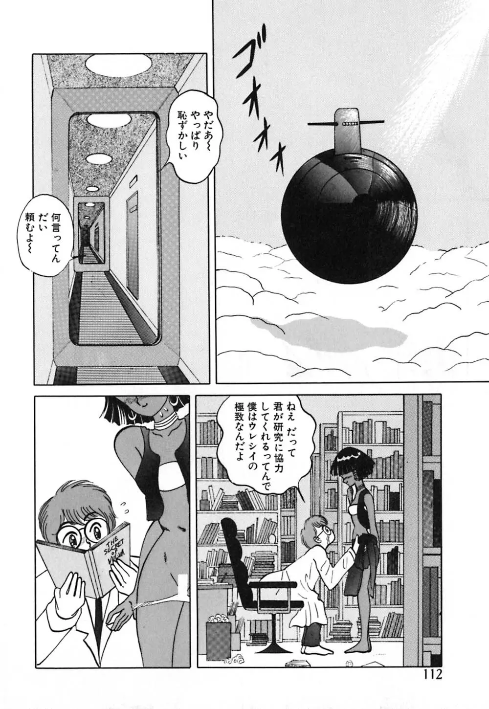 ショートカット 1 Page.113