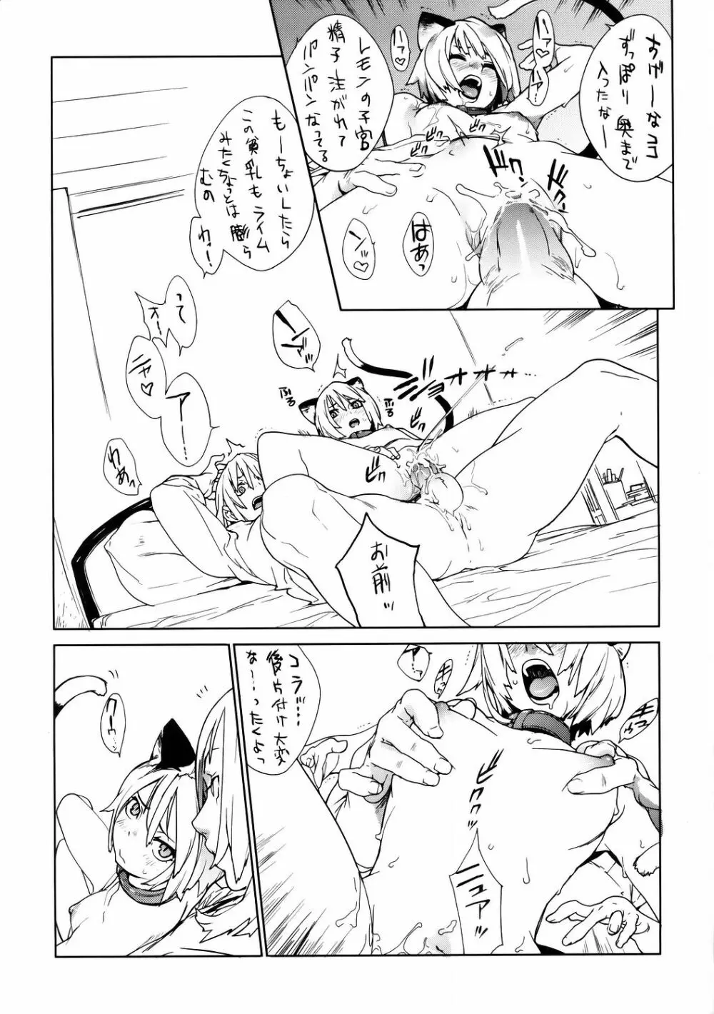 fits Page.17