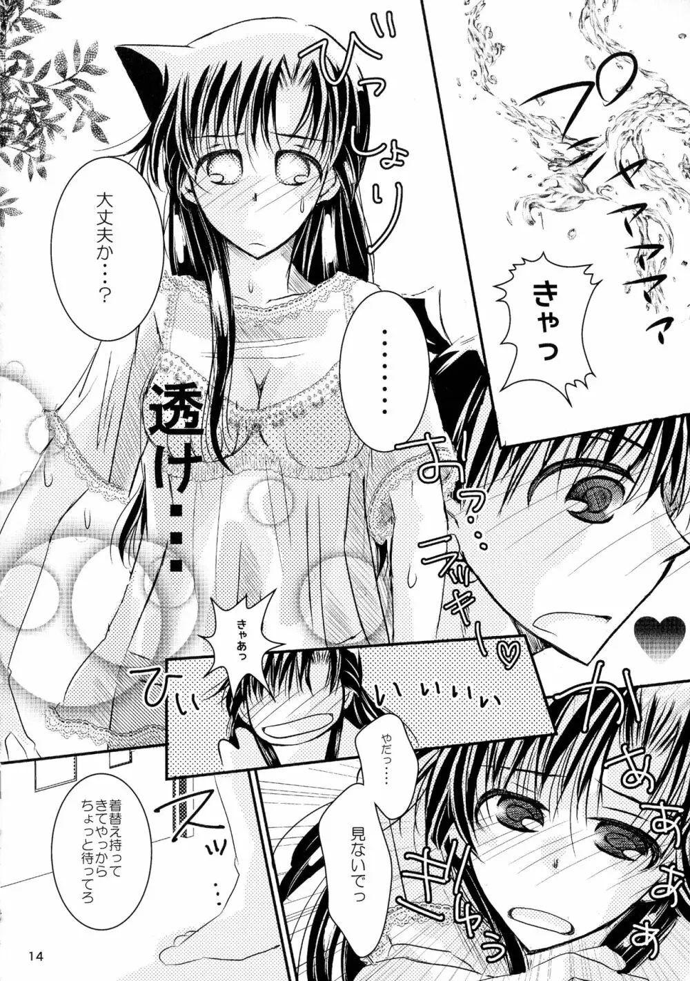 (SPARK11) [T・K・H・K (はやみあや)] MACARON-CHOCOLAT-DOLCE (名探偵コナン) Page.14
