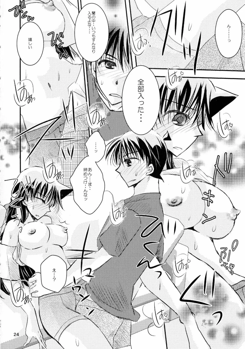 (SPARK11) [T・K・H・K (はやみあや)] MACARON-CHOCOLAT-DOLCE (名探偵コナン) Page.24