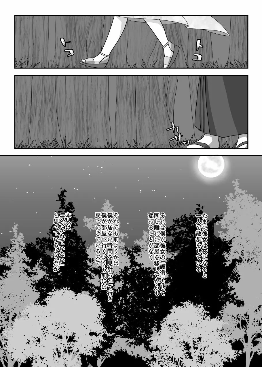 星花の万華鏡 Page.3