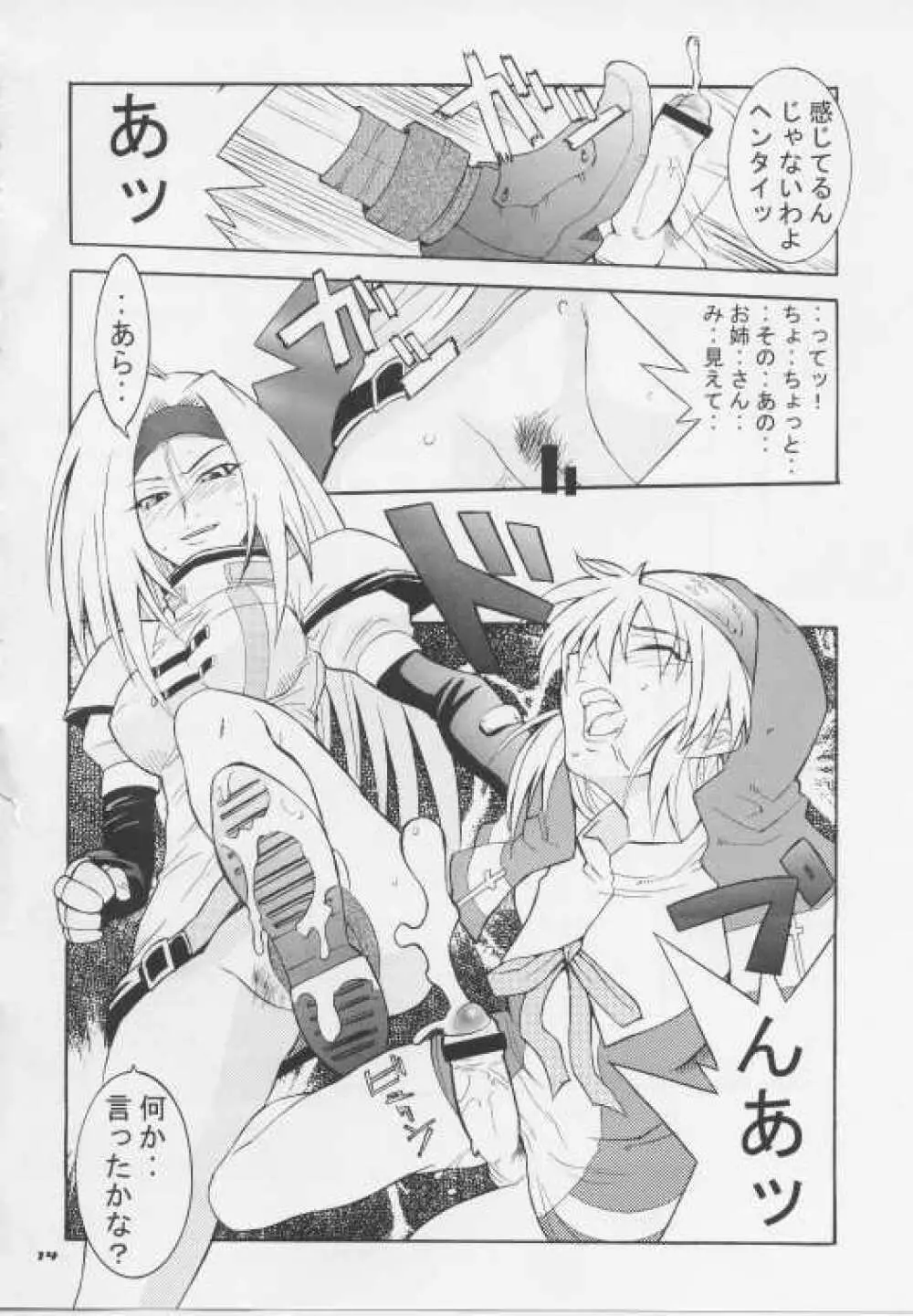 ブリジックス Page.13