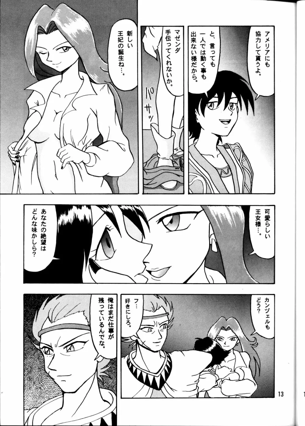 CAMELEON TECHNOLOGY 2 Page.12