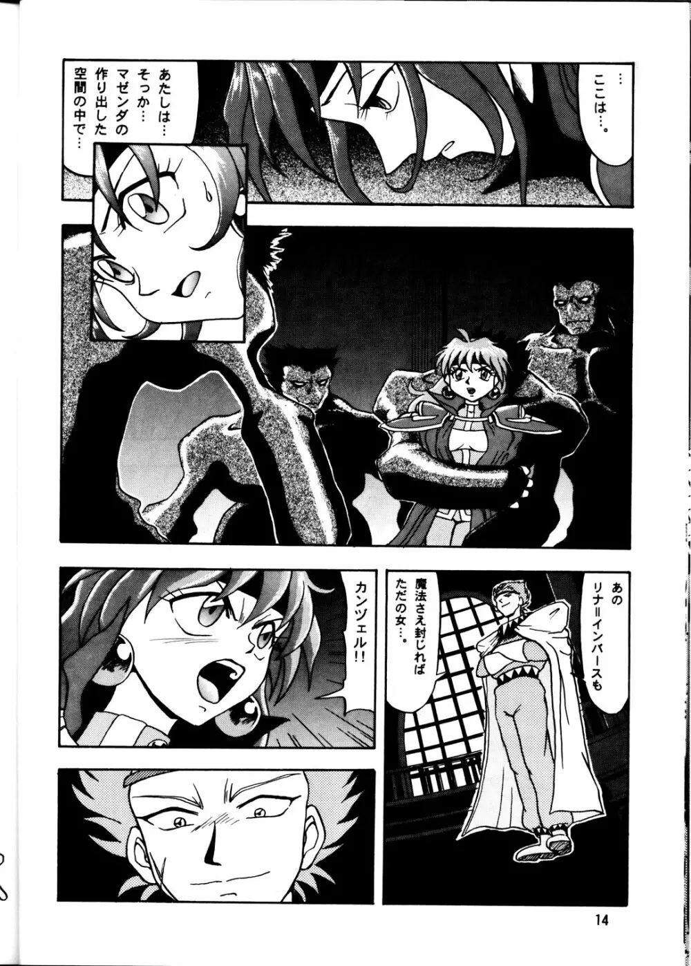 CAMELEON TECHNOLOGY 2 Page.13