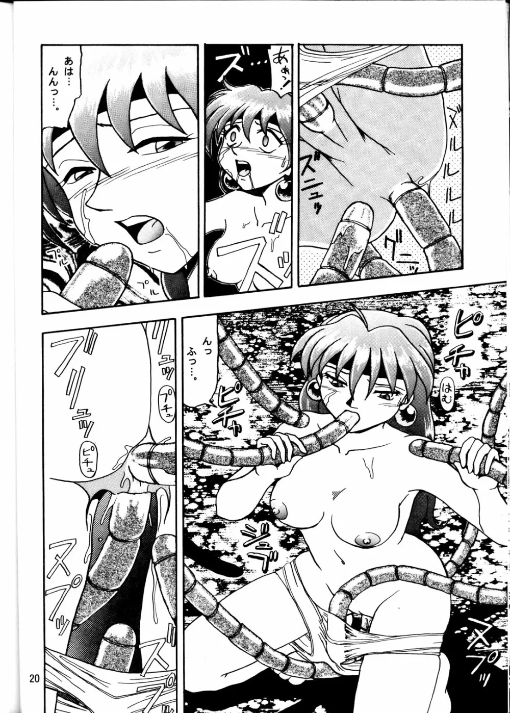 CAMELEON TECHNOLOGY 2 Page.19