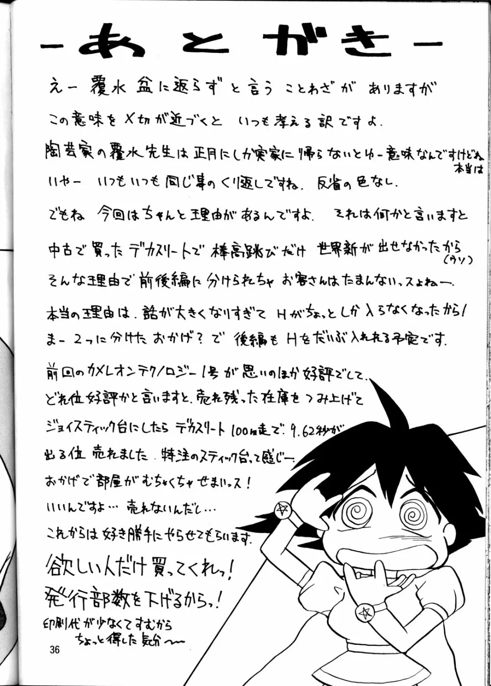 CAMELEON TECHNOLOGY 2 Page.35