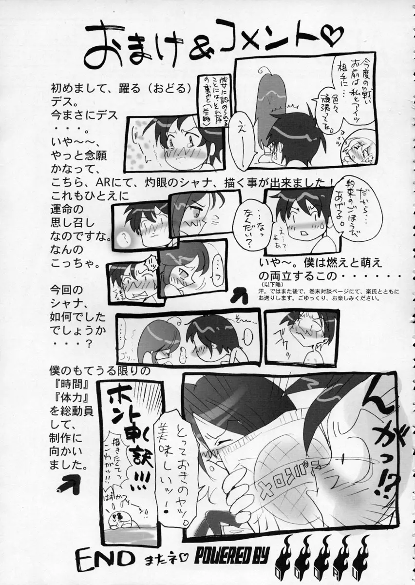 AR・10 射口顔のシャナ6 PLATINUM Page.30