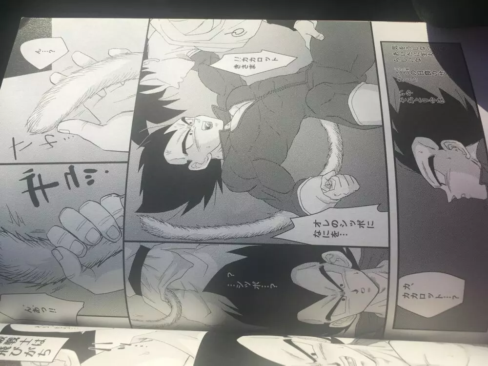 Dbz yaoi Page.2